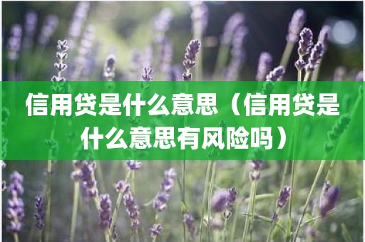 信用贷是什么意思（信用贷是什么意思有风险吗）