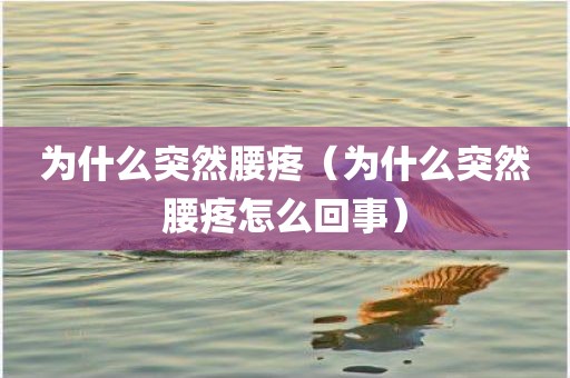 为什么突然腰疼（为什么突然腰疼怎么回事）