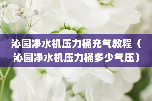 沁园净水机压力桶充气教程（沁园净水机压力桶多少气压）