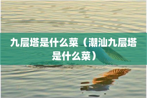 九层塔是什么菜（潮汕九层塔是什么菜）