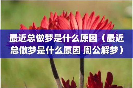 最近总做梦是什么原因（最近总做梦是什么原因 周公解梦）