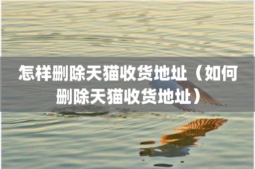 怎样删除天猫收货地址（如何删除天猫收货地址）
