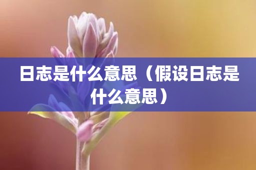 日志是什么意思（假设日志是什么意思）