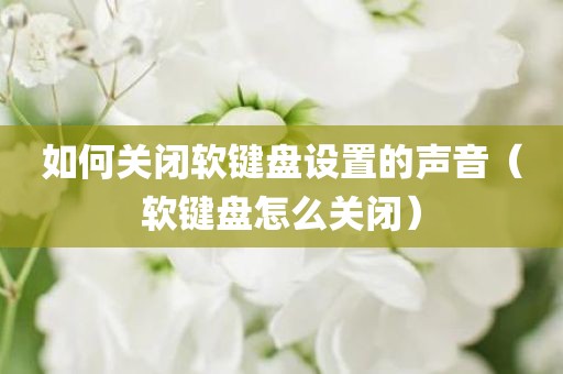 如何关闭软键盘设置的声音(软键盘怎么关闭) 如何关闭软键盘设置的声音(软键盘怎么关闭)
