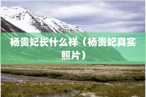 杨贵妃长什么样（杨贵妃真实照片）