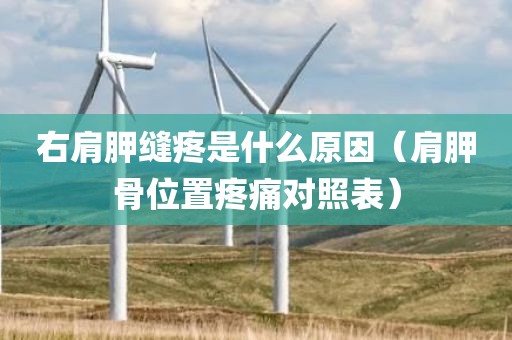 右肩胛缝疼是什么原因（肩胛骨位置疼痛对照表）