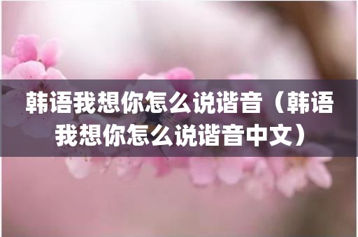 韩语我想你怎么说谐音（韩语我想你怎么说谐音中文）