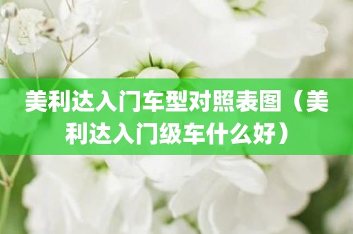 美利达入门车型对照表图（美利达入门级车什么好）
