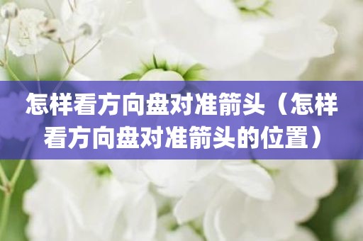 怎样看方向盘对准箭头（怎样看方向盘对准箭头的位置）