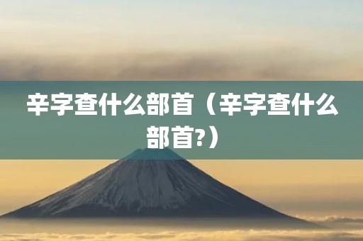 辛字查什么部首（辛字查什么部首?）