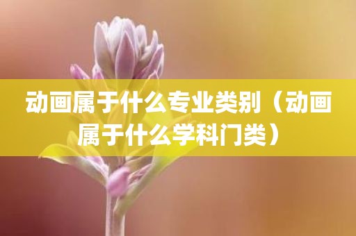 动画属于什么专业类别（动画属于什么学科门类）