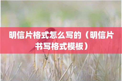 明信片格式怎么写的(明信片书写格式模板) 明信片格式怎么写的(明信片书写格式模板)
