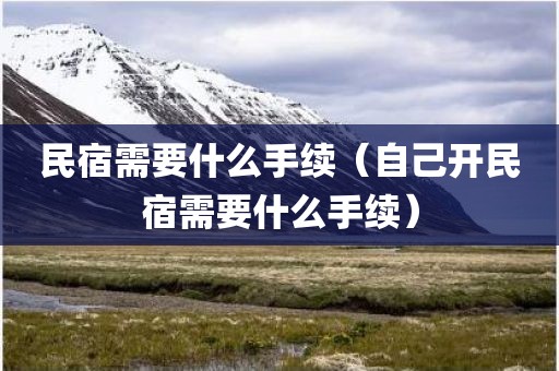民宿需要什么手续（自己开民宿需要什么手续）