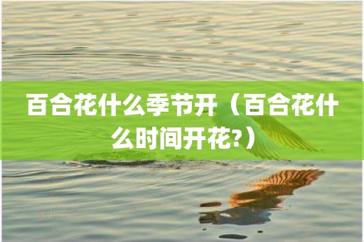 百合花什么季节开（百合花什么时间开花?）