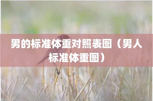 男的标准体重对照表图(男人标准体重图) 男的标准体重对照表图(男人标准体重图)