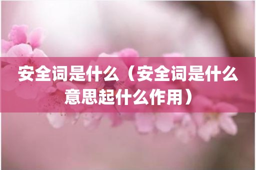 安全词是什么（安全词是什么意思起什么作用）