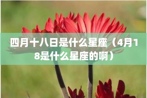 四月十八日是什么星座（4月18是什么星座的啊）