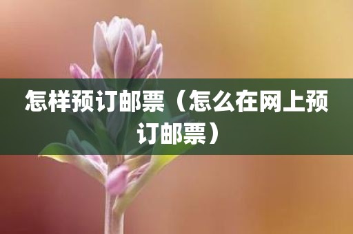 怎样预订邮票（怎么在网上预订邮票）