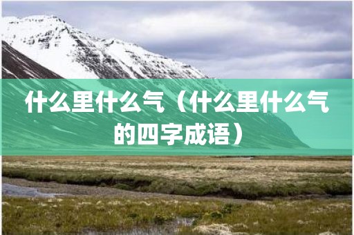 什么里什么气（什么里什么气的四字成语）
