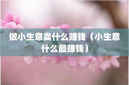 做小生意卖什么赚钱(小生意什么最赚钱)