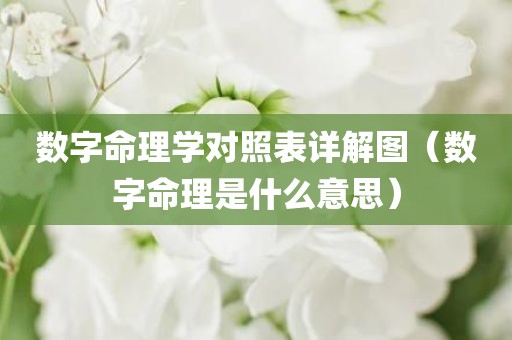 数字命理学对照表详解图（数字命理是什么意思）