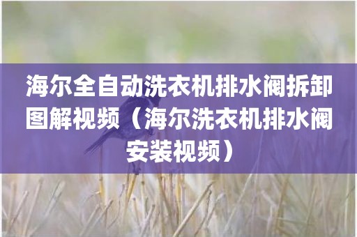 海尔全自动洗衣机排水阀拆卸图解视频(海尔洗衣机排水阀安装视频)