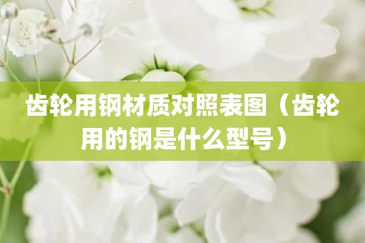 齿轮用钢材质对照表图（齿轮用的钢是什么型号）