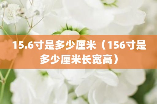 15.6寸是多少厘米（156寸是多少厘米长宽高）