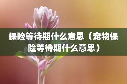 保险等待期什么意思（宠物保险等待期什么意思）