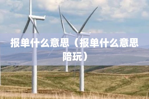 报单什么意思（报单什么意思陪玩）
