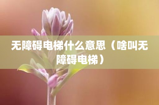 无障碍电梯什么意思（啥叫无障碍电梯）