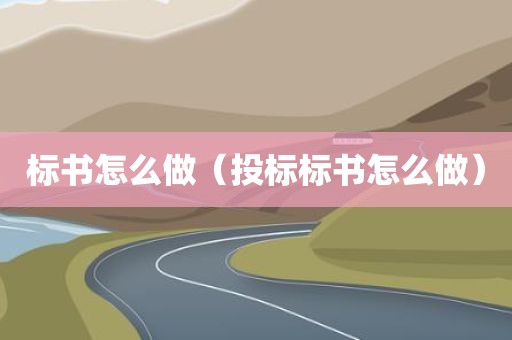 标书怎么做（投标标书怎么做）