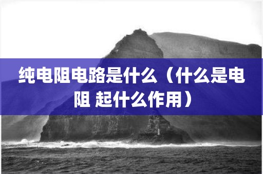 纯电阻电路是什么（什么是电阻 起什么作用）