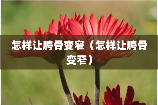 怎样让胯骨变窄（怎样让胯骨变窄）