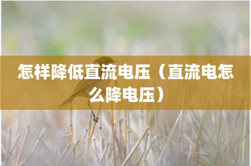 怎样降低直流电压(直流电怎么降电压)