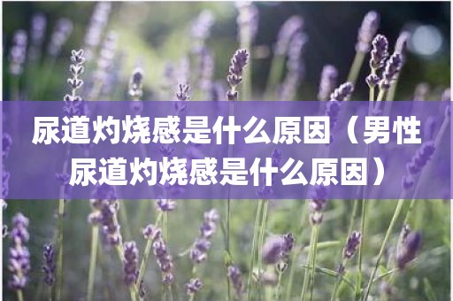 尿道灼烧感是什么原因（男性尿道灼烧感是什么原因）