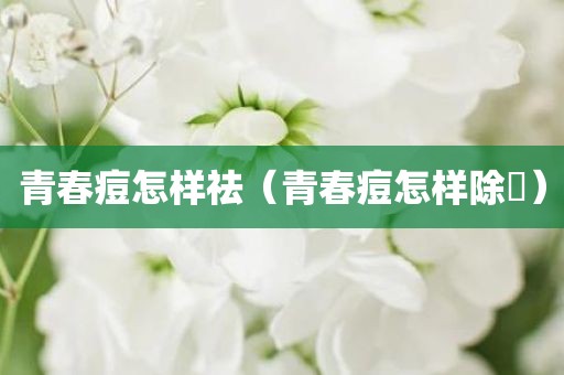 青春痘怎样祛（青春痘怎样除袪）