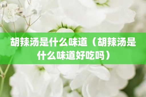 胡辣汤是什么味道(胡辣汤是什么味道好吃吗)