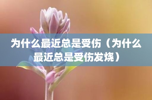 为什么最近总是受伤（为什么最近总是受伤发烧）