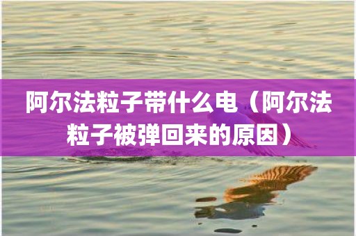 阿尔法粒子带什么电（阿尔法粒子被弹回来的原因）