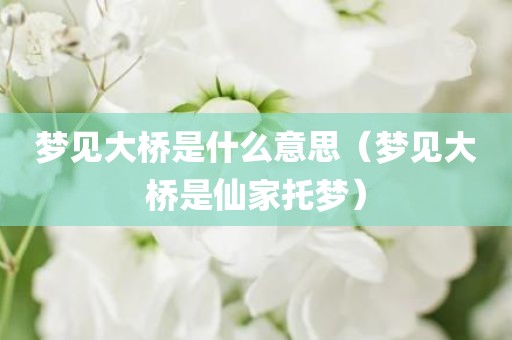 梦见大桥是什么意思(梦见大桥是仙家托梦)