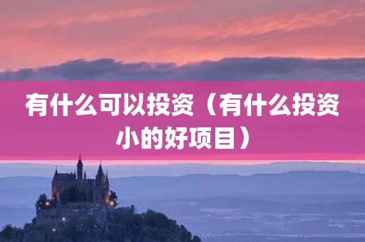 有什么可以投资（有什么投资小的好项目）