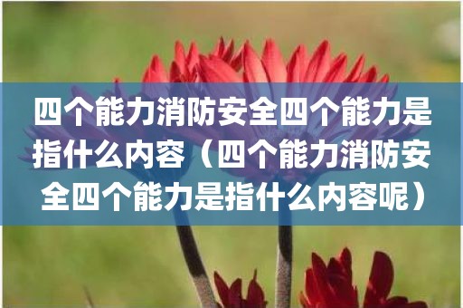 四个能力消防安全四个能力是指什么内容（四个能力消防安全四个能力是指什么内容呢）