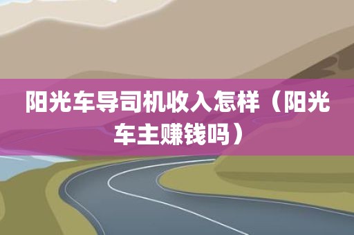 阳光车导司机收入怎样（阳光车主赚钱吗）