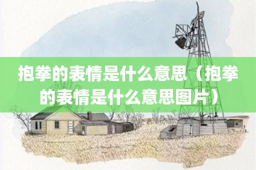 抱拳的表情是什么意思（抱拳的表情是什么意思图片）