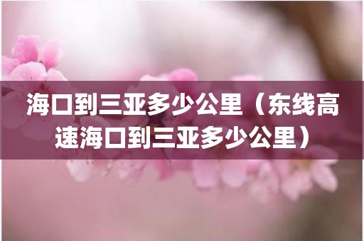 海口到三亚多少公里（东线高速海口到三亚多少公里）