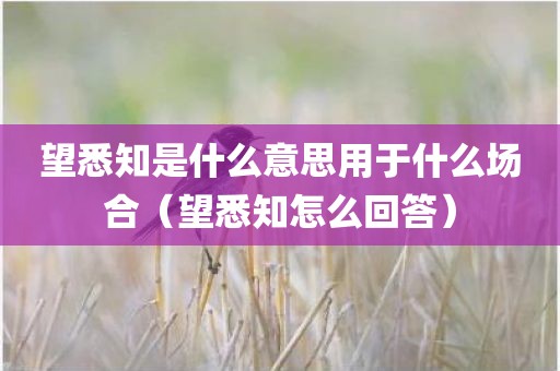 望悉知是什么意思用于什么场合(望悉知怎么回答)