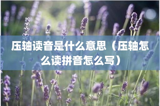 压轴读音是什么意思(压轴怎么读拼音怎么写)