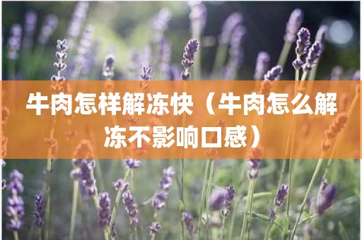 牛肉怎样解冻快（牛肉怎么解冻不影响口感）