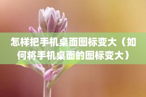 怎样把手机桌面图标变大（如何将手机桌面的图标变大）